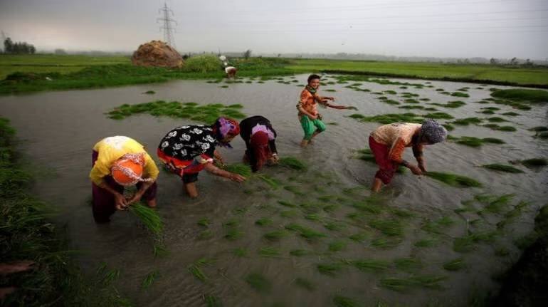10 का दम : किसान सम्मान निधि और कम इंटरेस्ट रेट पर एग्री लोन जैसे उपायों से बदली है कृषि क्षेत्र की तस्वीर