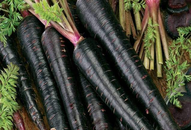Black Carrot: BP-डायबिटीज जैसी कई बीमारियों के लिए फायदेमंद है काली गाजर, जानिए कैसे करें सेवन