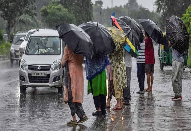 Delhi Rains: घने कोहरा के साथ दिल्ली-NCR में झमाझम बारिश, मौसम ने बदली करवट Delhi Rains: घने कोहरा के साथ दिल्ली-NCR में झमाझम बारिश, मौसम ने बदली करवट