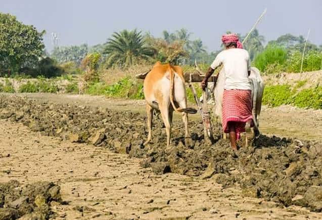 PM Kisan Yojana: करोड़ों किसानों को खुशखबरी! अब मिल सकते हैं सालाना 8000 रुपये, जानिए कैसे उठाएं फायदा
