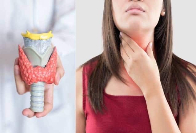 Thyroid Diseases: थायराइड की बीमारी क्या है? जानिए लक्षण और बचाव के उपाय