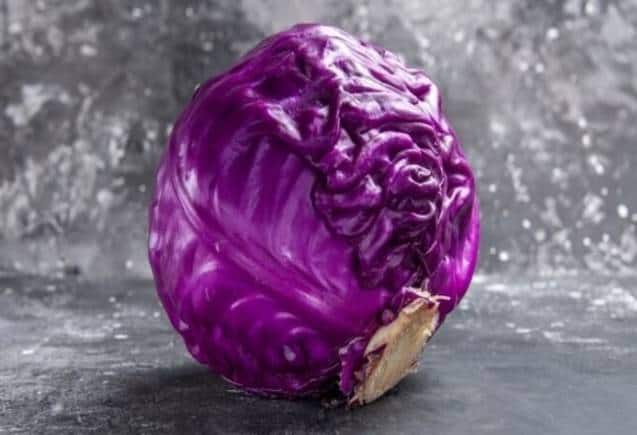 Purple Cabbage: बैंगनी पत्ता गोभी सेहत के लिए है फायदेमंद, चेहरे में आएगा ग्लो, इम्यूनिटी होगी मजबूत