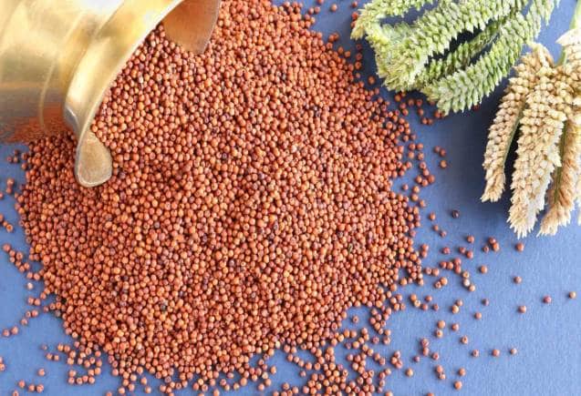 Diabetes: गेहूं की जगह खाएं जौ और रागी की रोटी, ब्लड शुगर रहेगा कंट्रोल, डॉक्टर से जानिए फायदे