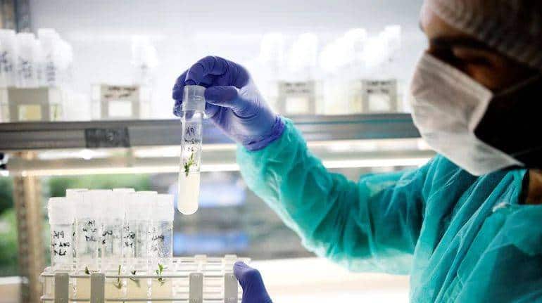 फार्मा सेक्टर के लिए सरकार ला सकती है नई PLI स्कीम, चीन से बिजनेस छीनने की तैयारी