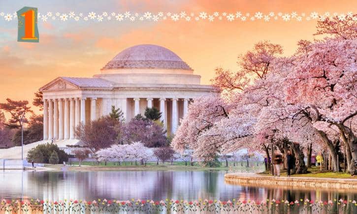 Spring Festivals: पूरी दुनिया में बसंत में इन त्योहारों की रहती है धूम, देखिए खास फेस्टिवल्स की एक झलक Spring Festivals: पूरी दुनिया में बसंत में इन त्योहारों की रहती है धूम, देखिए खास फेस्टिवल्स की एक झलक