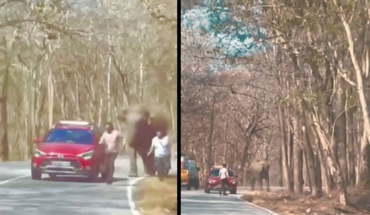 बांदीपुर में हाथी ने किया अटैक, लोगों को सेल्फी लेना पड़ा महंगा