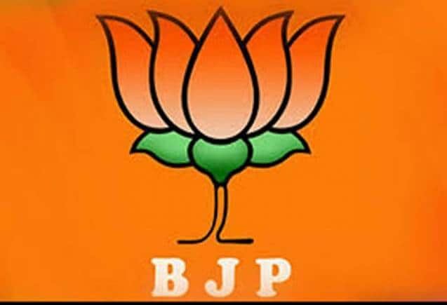 Buy samriddhi b j p party logo symbol sign-badge-Multi color Online at Low  Prices in India - Amazon.in