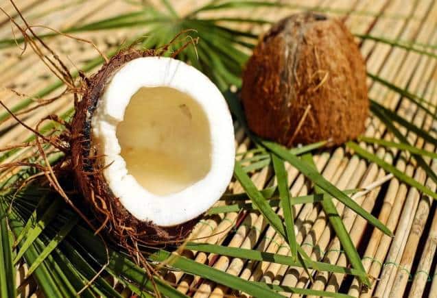 Coconut Benefits: नारियल है सेहत के लिए वरदान, कई बीमारियों की हो जाएगी छुट्टी