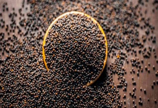 Commodity Market : सरसों के भाव MSP से 10% नीचे, खाने के तेल के ड्यूटी फ्री इंपोर्ट ने बनाया दबाव