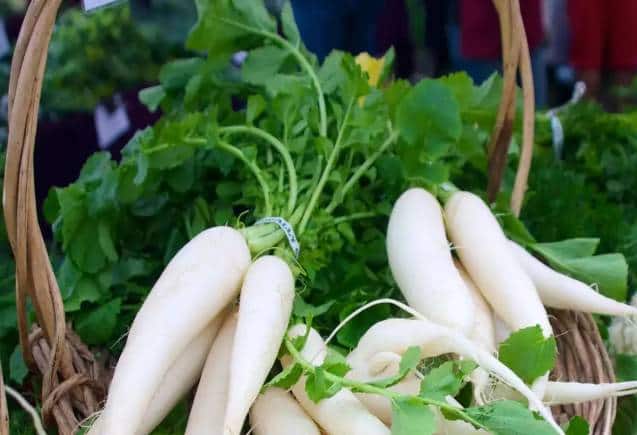 Radish Leaves: मूली के पत्तों से काबू में रहता है ब्लड शुगर लेवल, जानिए कैसे करें सेवन