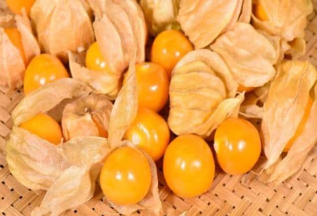 Rasbhari Fruit: रसभरी से सेहत रहेगी चकाचक, डायबिटीज, हाई BP जैसी समस्याएं रहेंगी कोसों दूर