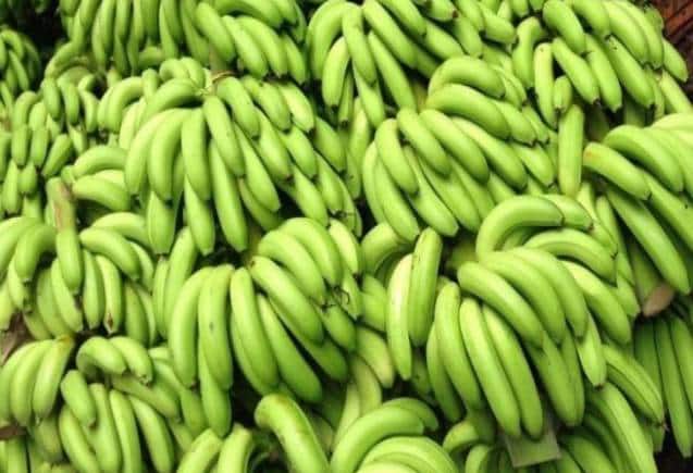 Raw Banana Benefits: कच्चे केले हैं सेहत के लिए फायदेमंद, Blood Sugar रहता है कंट्रोल, जानिए कैसे करें सेवन