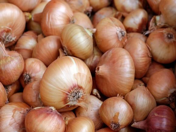 Onion Price: प्याज की कीमत न निकाले आंसू, सरकार ने शुरू की तैयारी Onion Price: प्याज की कीमत न निकाले आंसू, सरकार ने शुरू की तैयारी