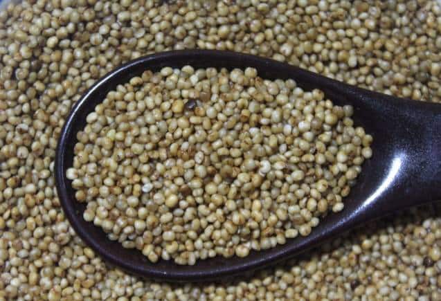 Kodo Millet Diabetes: बाजरे की इस किस्म से डायबिटीज की हो जाएगी छुट्टी, सेहत के लिए है रामबाण