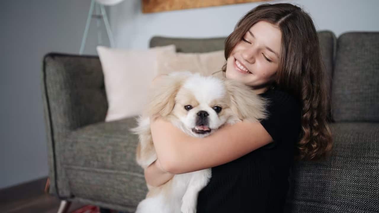 National Pet Day 2024: आप अपने पेट्स का करा सकते हैं इश्योरेंस, जानिए कितना आता है प्रीमियम