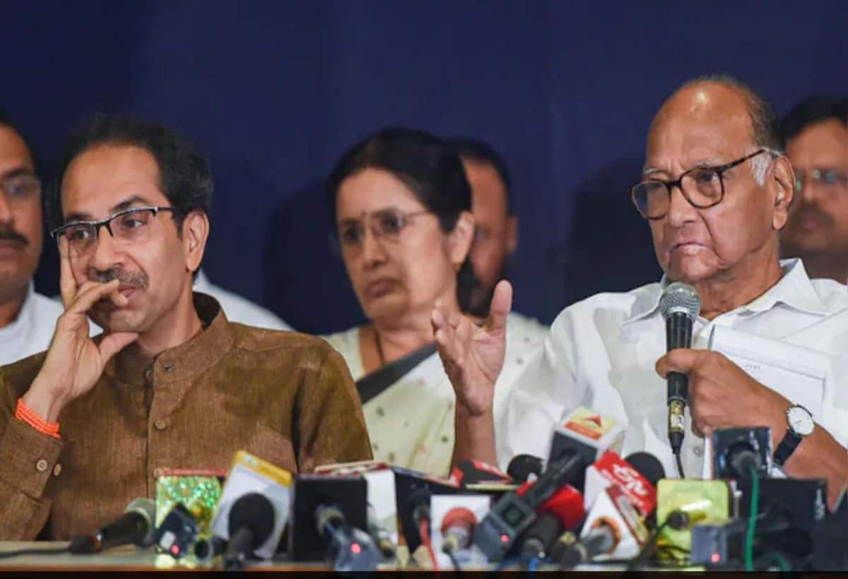 शरद पवार और उद्धव ठाकरे के लिए राजनीतिक अस्तित्व की लड़ाई, जानें क्यों अग्निपरीक्षा है यह लोकसभा चुनाव