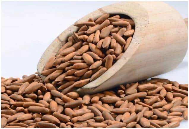 Pine Nut for Diabetes: चिलगोजा के सेवन से ब्लड शुगर निकलेगा बाहर, नेचुरल तरीके से बनता है इंसुलिन