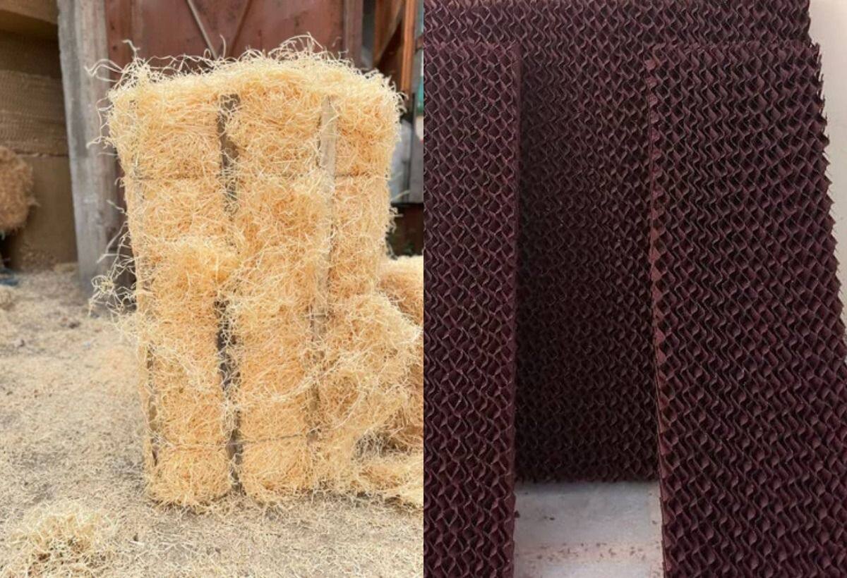 Honeycomb vs Grass: झुलसा देने वाली गर्मी में कूलर के लिए कौन सी घास है बेहतर, हनीकॉम्‍ब पैड या सिंपल घास