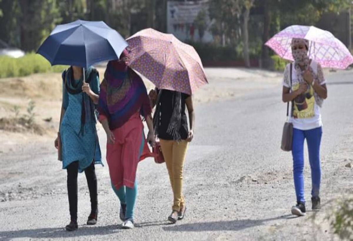 Heatwave Alert: 7 मई तक इन राज्यों में लू का अलर्ट जारी, पूर्वोत्तर में बारिश के आसार Heatwave Alert: 7 मई तक इन राज्यों में लू का अलर्ट जारी, पूर्वोत्तर में बारिश के आसार