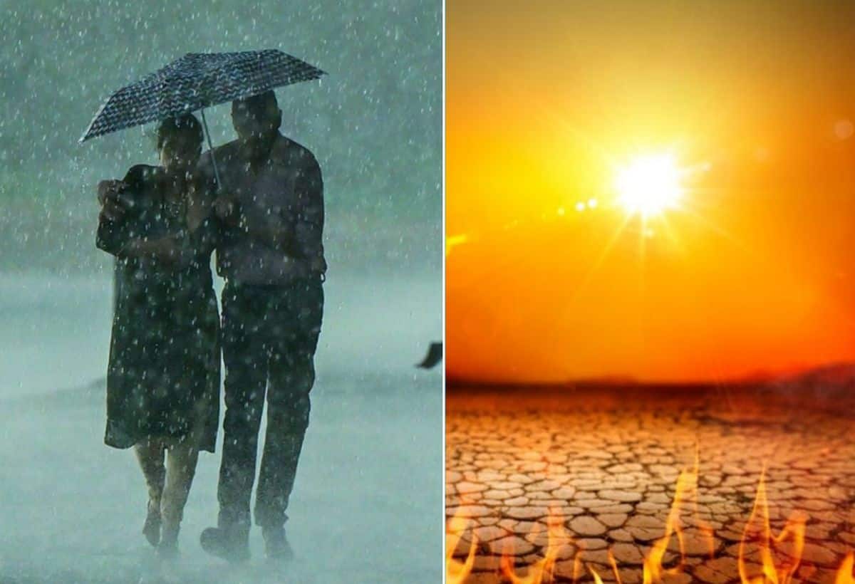 Monsoon 2024: अगले 5 दिनों में केरल में दस्तक देगा मानसून, 29 मई तक दिल्ली में जारी रहेगी भीषण गर्मी Monsoon 2024: अगले 5 दिनों में केरल में दस्तक देगा मानसून, 29 मई तक दिल्ली में जारी रहेगी भीषण गर्मी