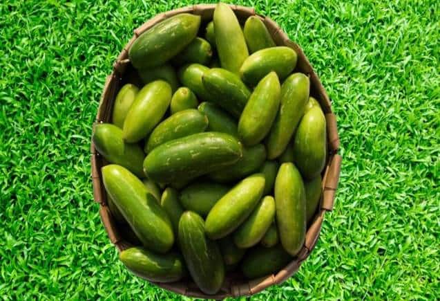 kundru for Diabetes: कुंदरू से ब्लड शुगर रहेगा कंट्रोल, वजन घटाने में मिलेगी मदद, फायदे सुनकर हो जाएंगे हैरान