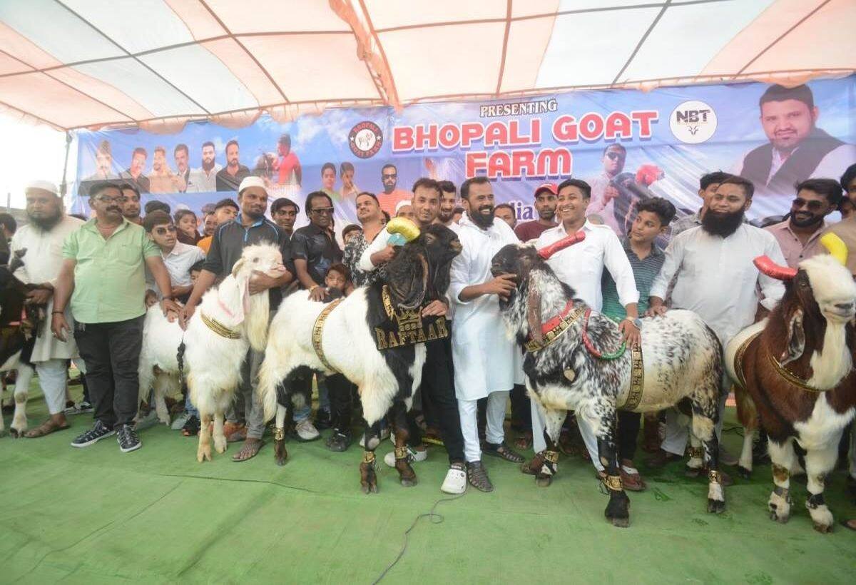 Bhopal News: 7.5 लाख में बिका भोपाली ‘टोरंटो’ बकरा, तूफान और रफ्तार भी कम नहीं