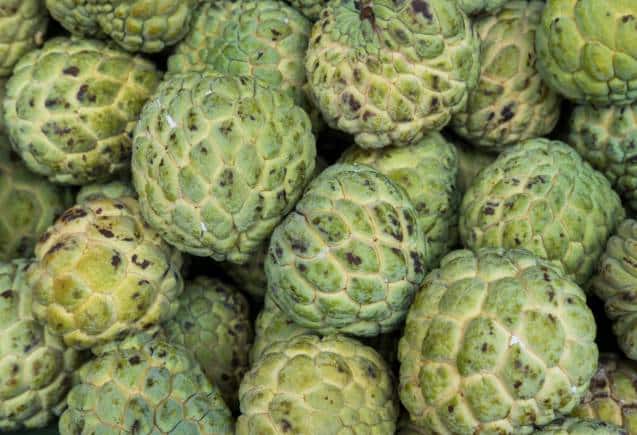 Custard apple For Diabetes: जी भरकर खाएं सीताफल, ब्लड शुगर होगा कंट्रोल, इन बातों का रखें ध्यान