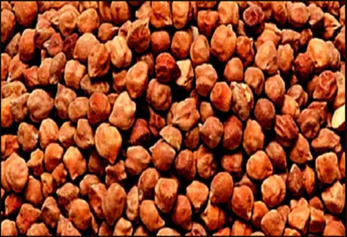 Diabetes Treatment: चना खाते ही छूमंतर हो जाएगा ब्लड शुगर, आयरन कैल्शियम से भर जाएगा शरीर