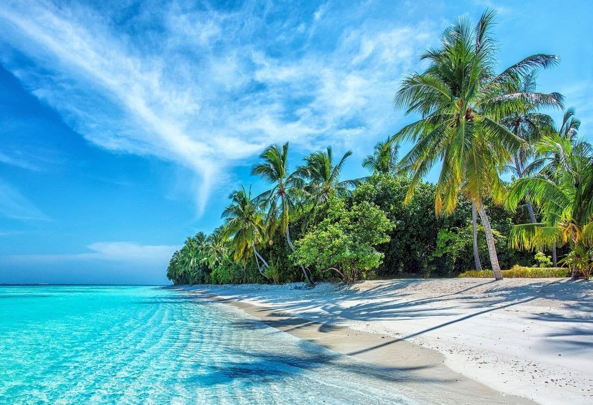 EaseMyTrip ने मालदीव की बुकिंग फिर से शुरू की, कांग्रेस के सोशल मीडिया पोस्ट का दिया जवाब EaseMyTrip ने मालदीव की बुकिंग फिर से शुरू की, कांग्रेस के सोशल मीडिया पोस्ट का दिया जवाब