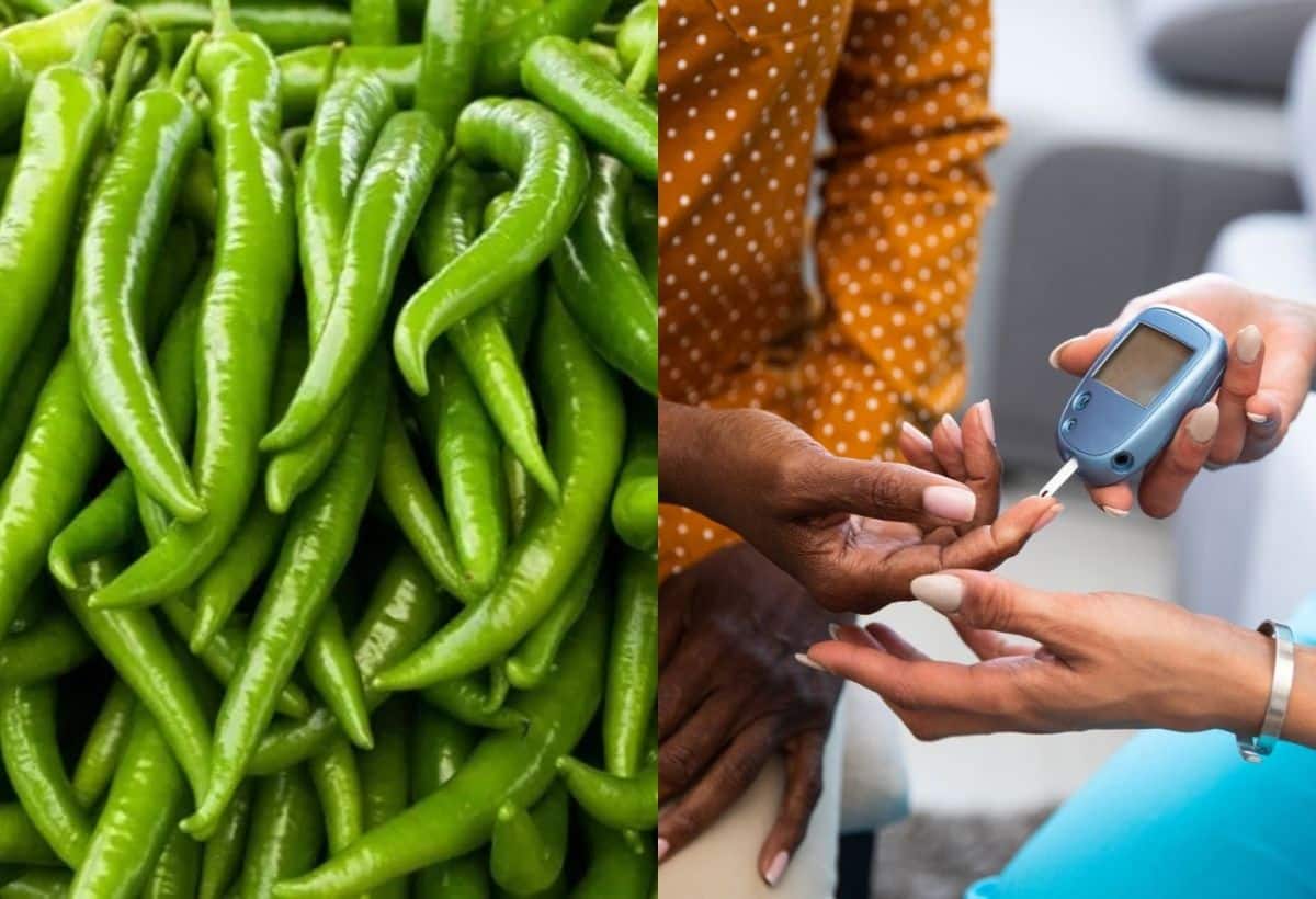 Green Chilli for Diabetes: हरी मिर्च से ब्लड शुगर रहेगा कंट्रोल, स्किन में आएगी चमक, दिल मांगे मोर