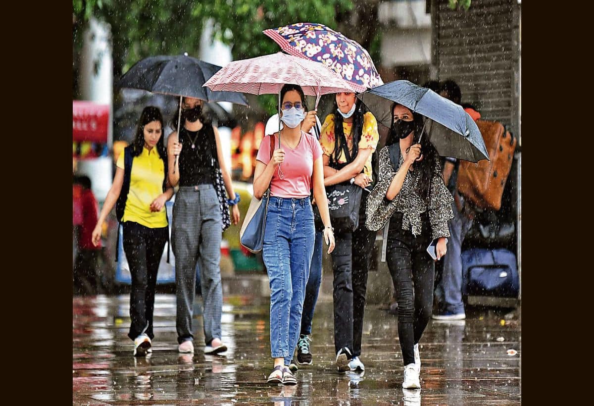 Business Idea: बारिश के मौसम में सिर्फ 5,000 रुपये में शुरू करें यह सुपरहिट बिजनेस, पूरे सीजन होगी अंधाधुंध कमाई