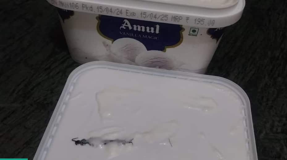 ऑनलाइन ऑर्डर की गई आइसक्रीम में मिला कनखजूरा, Blinkit ने वापस किए पैसे और शुरू की जांच