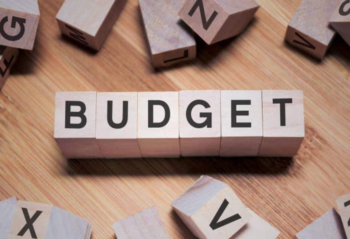 Budget 2025 expectations CII ने की सरकार से पेट्रोल डीजल पर एक्साइज ड्यूटी घटाने की मांग की