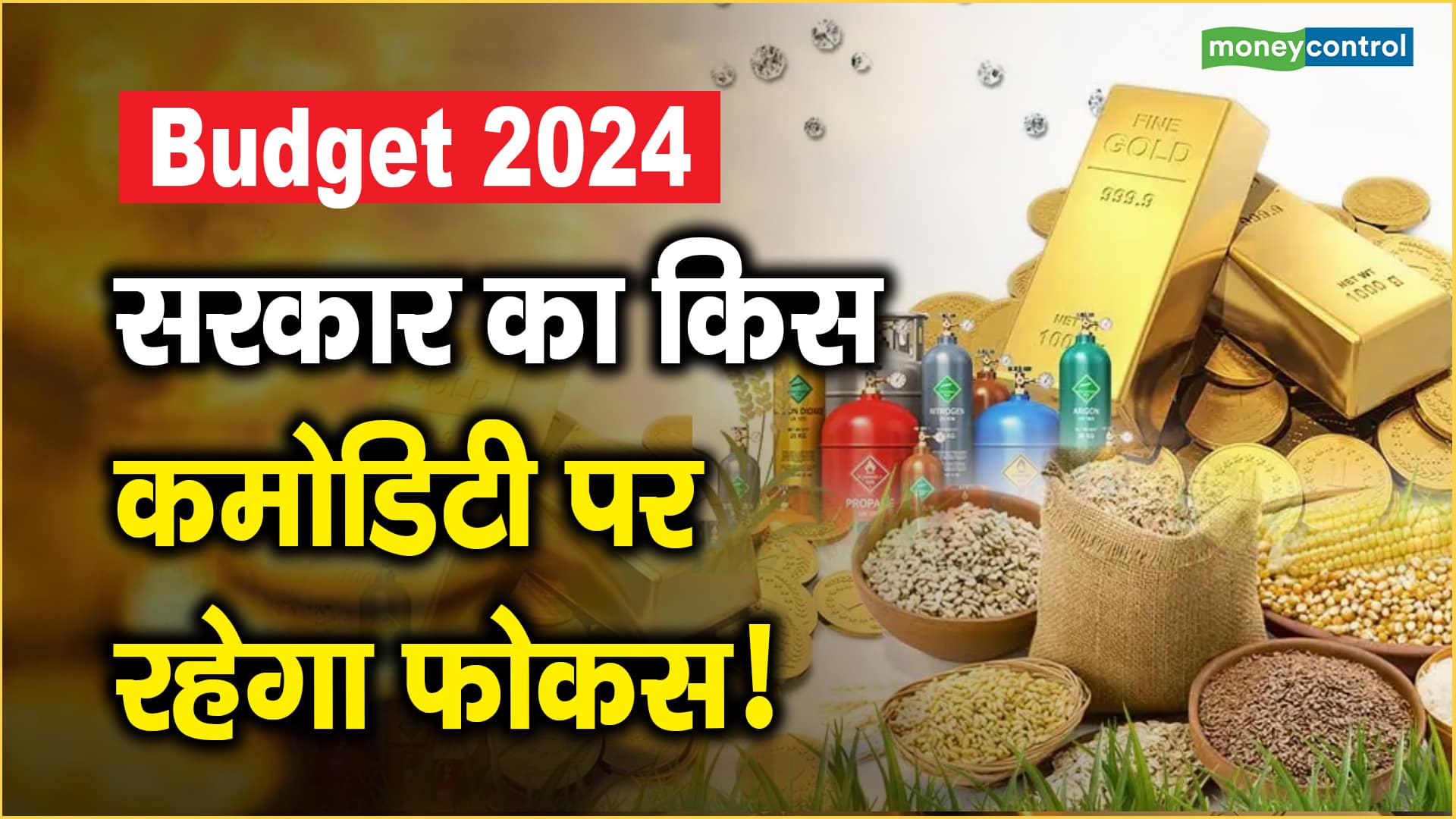 Budget 2024: सरकार का किस कमोडिटी पर रहेगा फोकस!