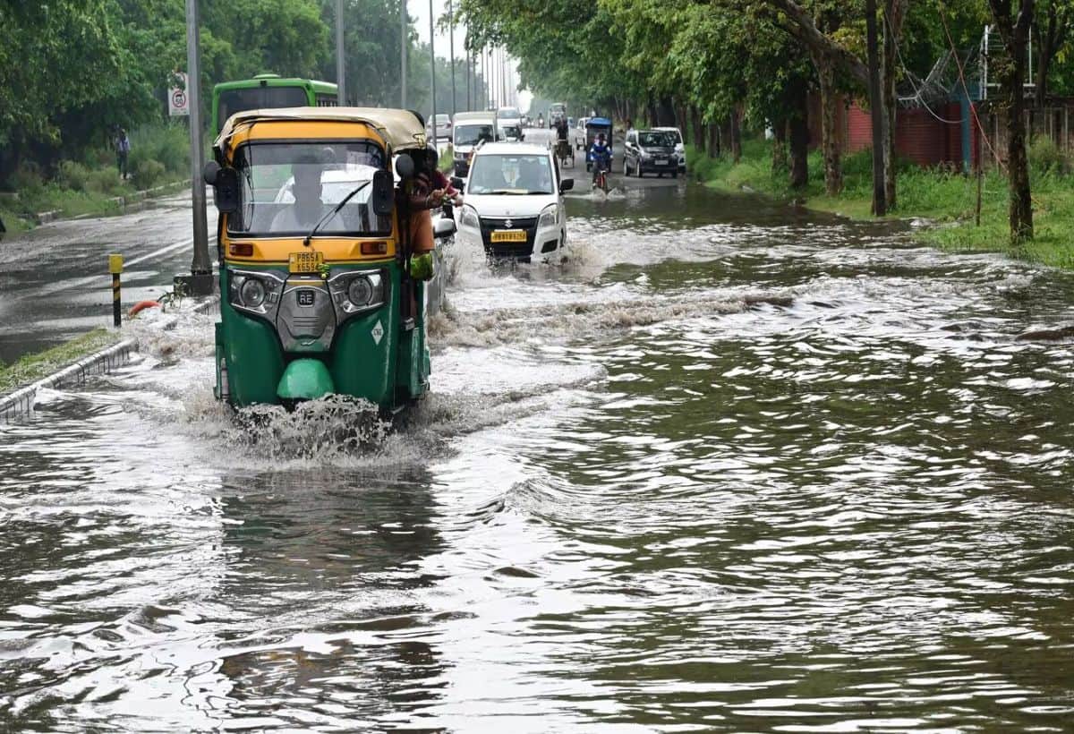 Weather Updates: गुजरात और उत्तराखंड में रेड अलर्ट जारी, हिमाचल प्रदेश में ऑरेंज अलर्ट, दिल्ली-NCR में येलो अलर्ट Weather Updates: गुजरात और उत्तराखंड में रेड अलर्ट जारी, हिमाचल प्रदेश में ऑरेंज अलर्ट, दिल्ली-NCR में येलो अलर्ट