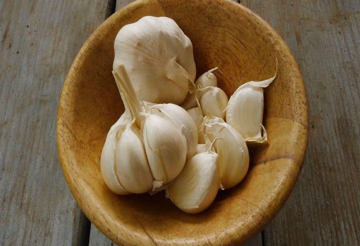 Garlic for Diabetes: बारिश में लहसुन से ब्लड शुगर को करें कंट्रोल, ऐसे करें सेवन