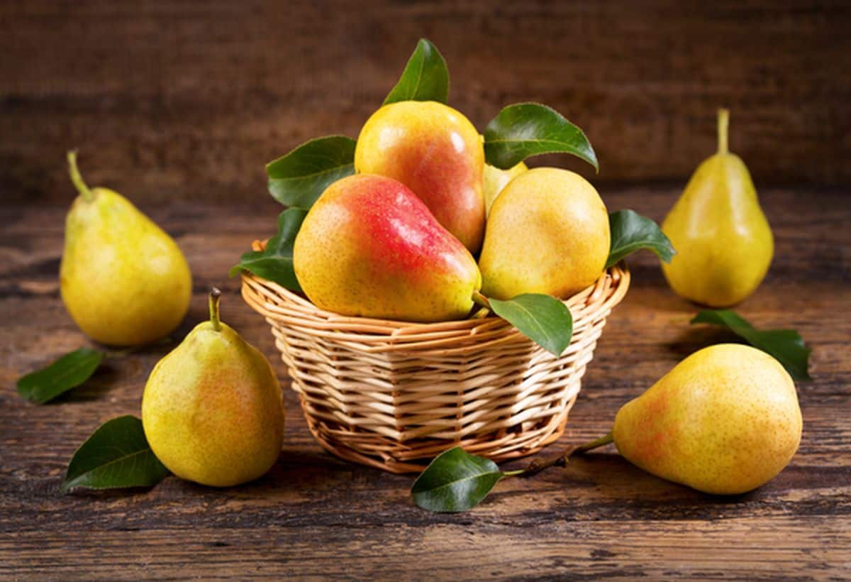Pear for Diabetes: सुबह खाली पेट खाएं नाशपाती, ब्लड शुगर की हो जाएगी छुट्टी, दिल रहेगा चकाचक
