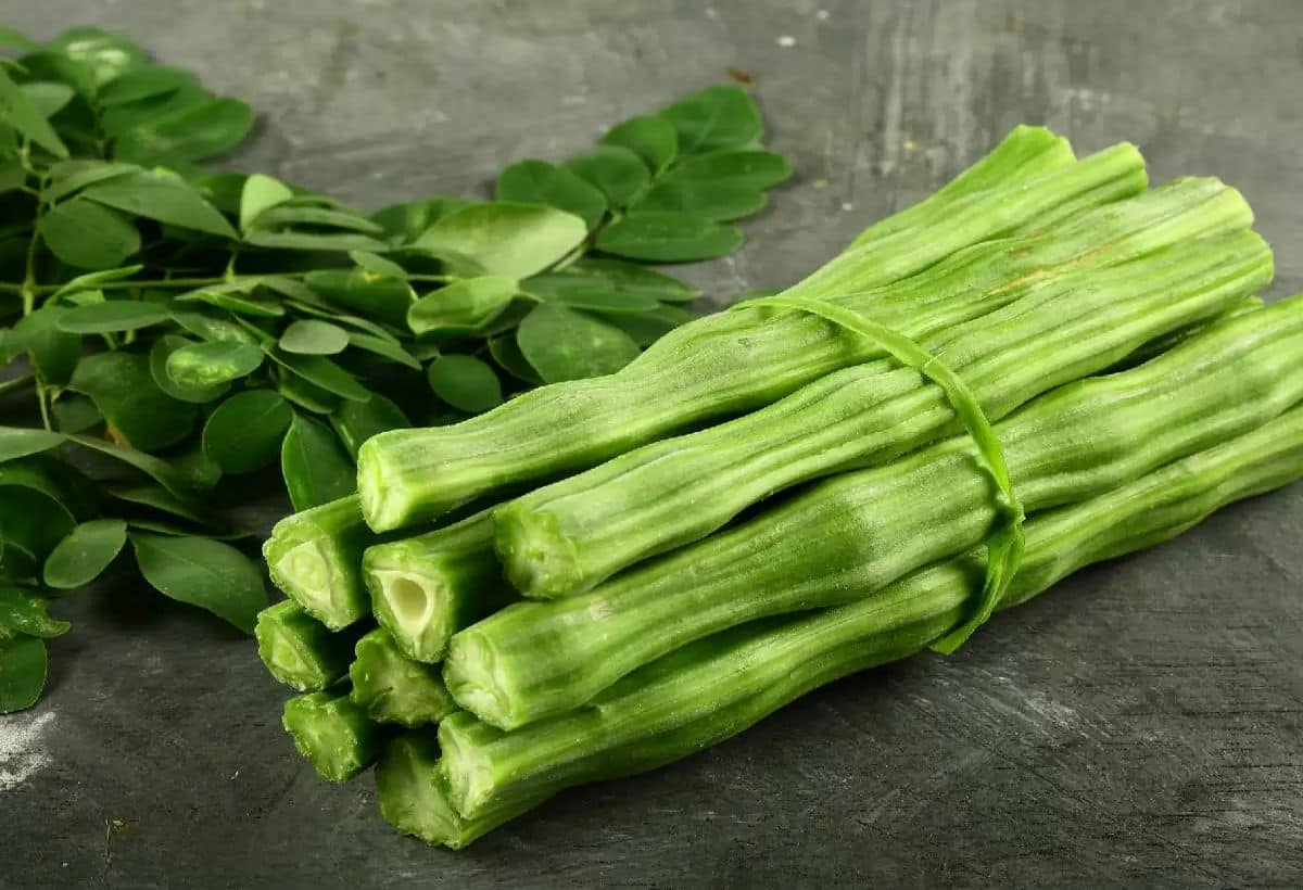 Sahjan for diabetes: डायबिटीज के लिए संजीवनी है सहजन, स्किन और बालों के लिए फायदेमंद