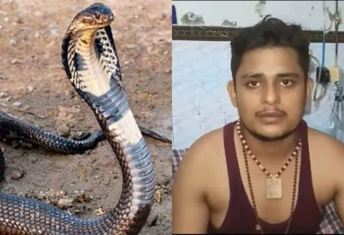 इस शख्स के पीछे पड़ गया सांप, 34 दिन में 6 बार काट चुका, अभी 3 बार और काटेगा इस शख्स के पीछे पड़ गया सांप, 34 दिन में 6 बार काट चुका, अभी 3 बार और काटेगा