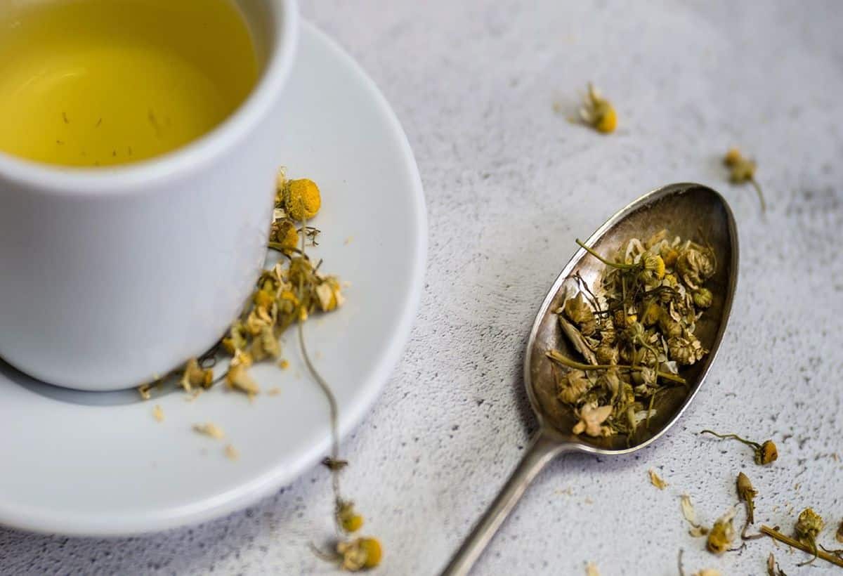 Green Tea for Diabetes: डायबिटीज के लिए रामबाण है ग्रीन टी, रोजाना पिएं, फौरन कंट्रोल होगा ब्लड शुगर