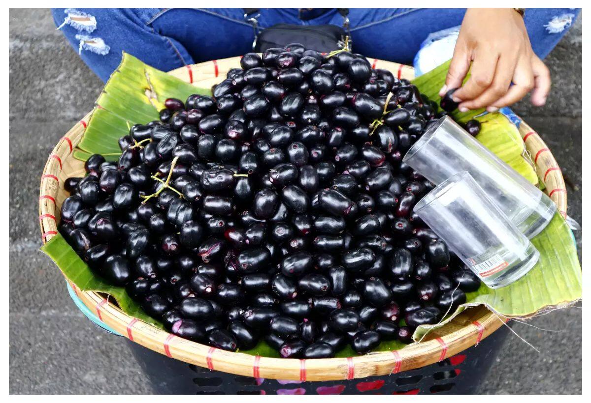 Jamun for Diabetes: जामुन का फल और पत्तियां डायबिटीज के लिए हैं काल, फौरन ब्लड शुगर होगा डाउन