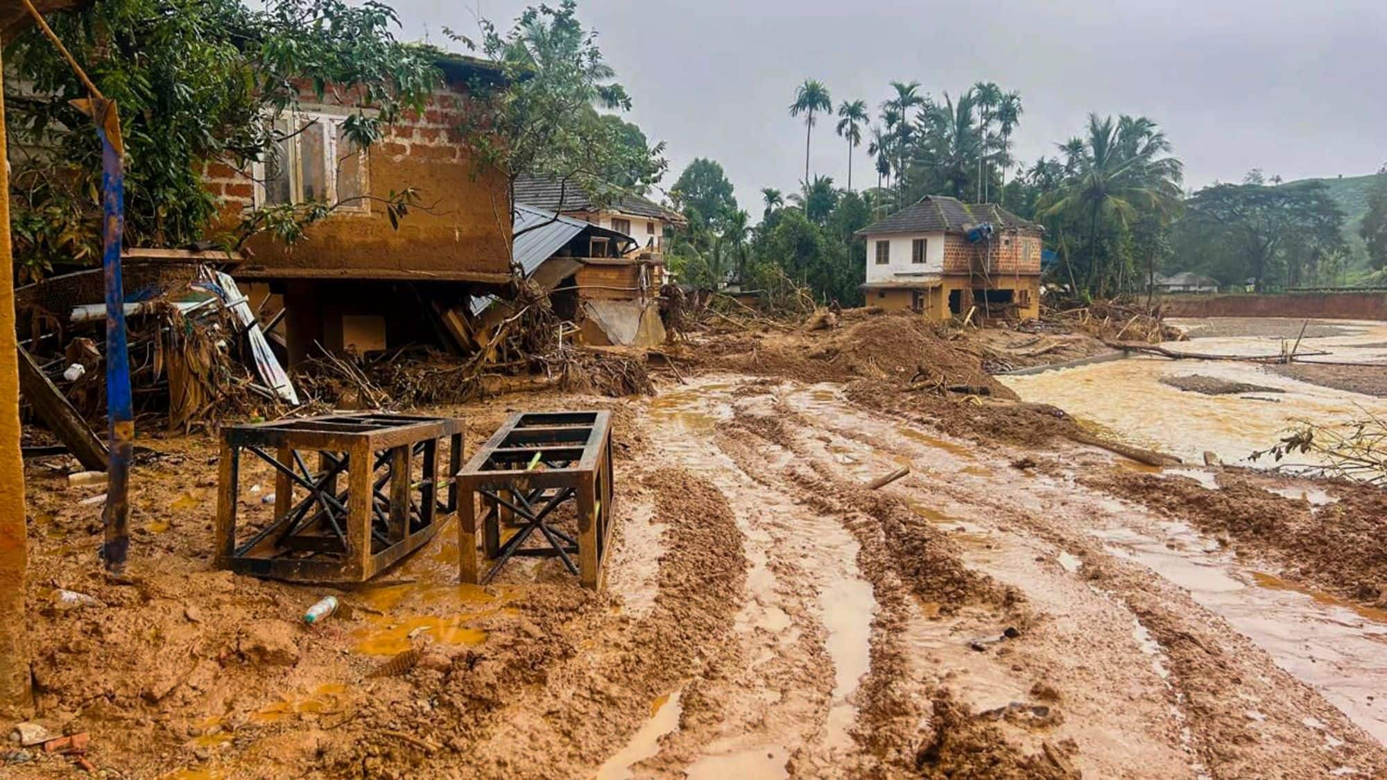 Wayanad Landslide: क्या रोकी जा सकती थी वायनाड की तबाही? केरल के इकोलॉजी ग्रुप ने पहले ही दी थी भूस्खलन की चेतावनी