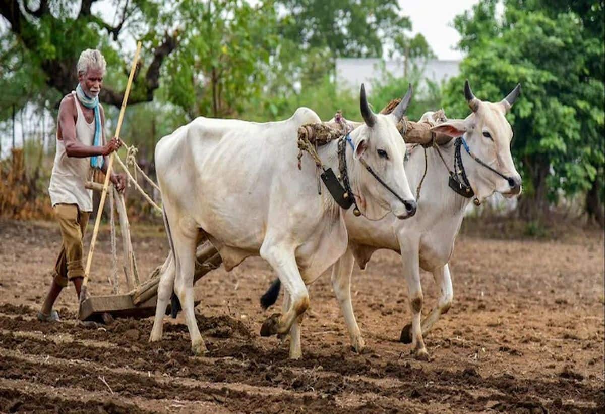 इस योजना से किसानों को मिलेगी बुढ़ापे में पेंशन, जानिए क्या है योजना? कैसे उठाएं फायदा?