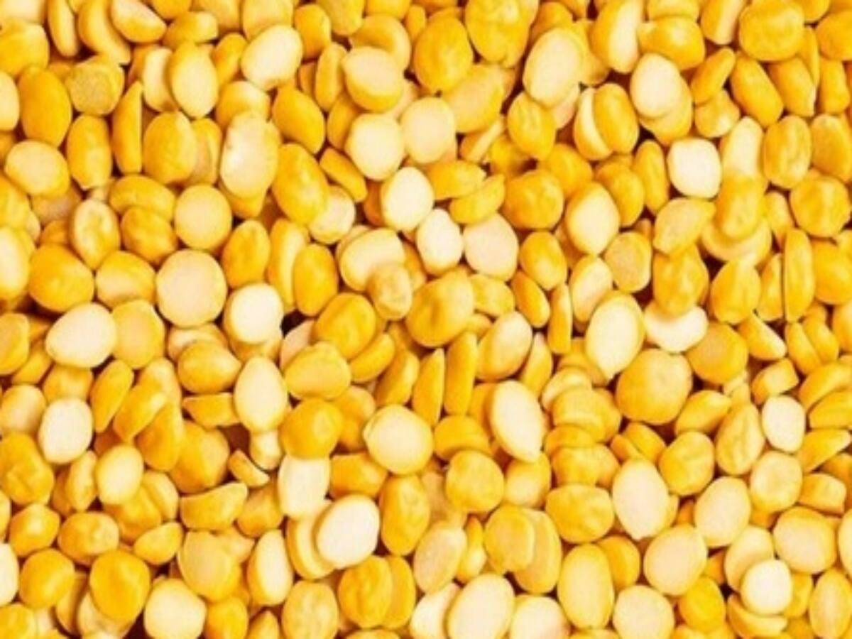 Jeyyam Global Foods IPO Listing: बेसन कंपनी की जोरदार रिकवरी, कमजोर लिस्टिंग के बाद लोअर से अपर सर्किट पर शेयर