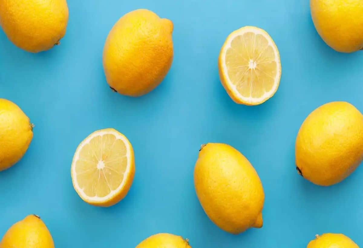 Lemon For Diabetes: नींबू भी बढ़े हुए ब्लड शुगर का कर देगा अंत, ऐसे करें सेवन Lemon For Diabetes: नींबू भी बढ़े हुए ब्लड शुगर का कर देगा अंत, ऐसे करें सेवन