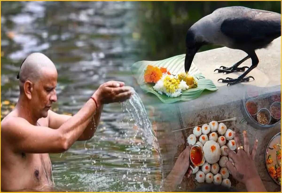 Pitru Paksha 2024: श्राद्ध पक्ष में करें यह पाठ, पितृ दोष की हो जाएगी छुट्टी, पूर्वजों का मिलेगा आशीर्वाद