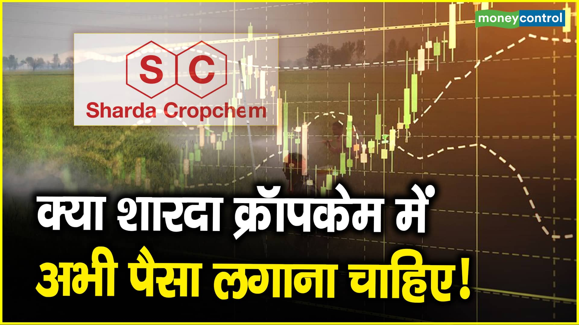 Sharda Cropchem Stocks: क्या शारदा क्रॉपकेम में अभी पैसा लगाना चाहिए! – sharda cropchem stock price should you invest in this stock at current price for handsome return