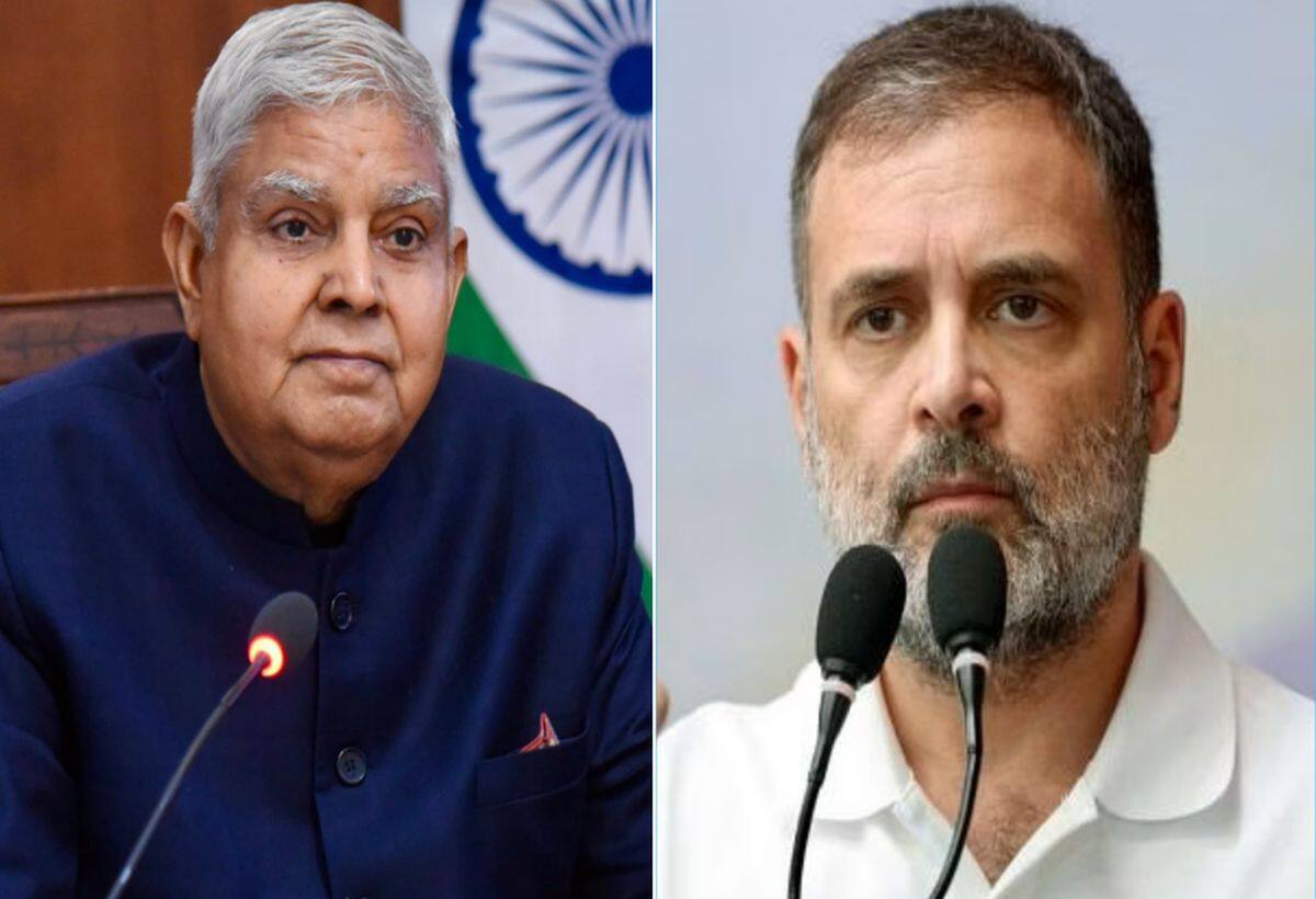 Rahul Gandhi Sikh Remark Row: 'सरकार की आलोचना करें, लेकिन देश की नहीं': उपराष्ट्रपति धनखड़ का राहुल गांधी पर हमला Rahul Gandhi Sikh Remark Row: 'सरकार की आलोचना करें, लेकिन देश की नहीं': उपराष्ट्रपति धनखड़ का राहुल गांधी पर हमला