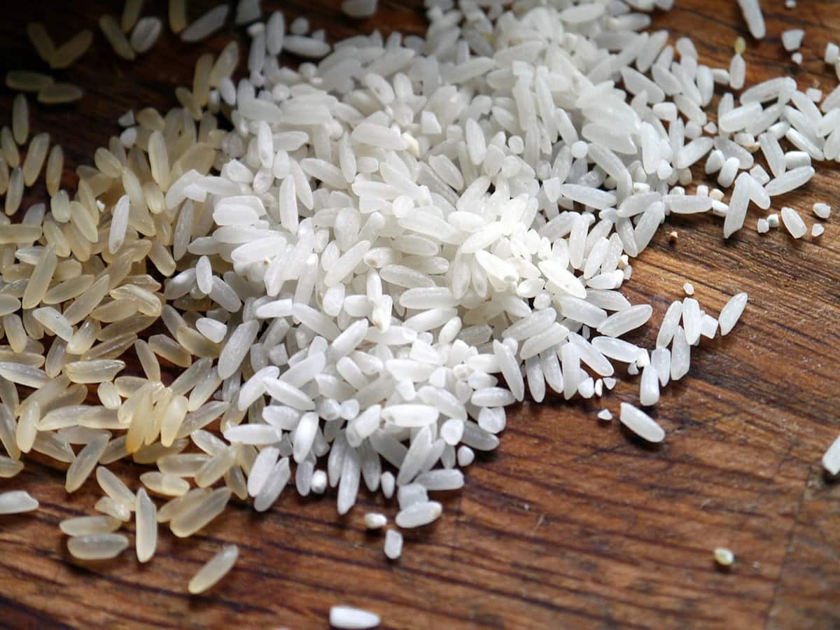 Rice News:  नॉन बासमती व्हाइट राइस की MEP हुई खत्म,एक्सपर्ट्स से जानिए  इंडस्ट्रीज पर कितना पड़ेगा असर