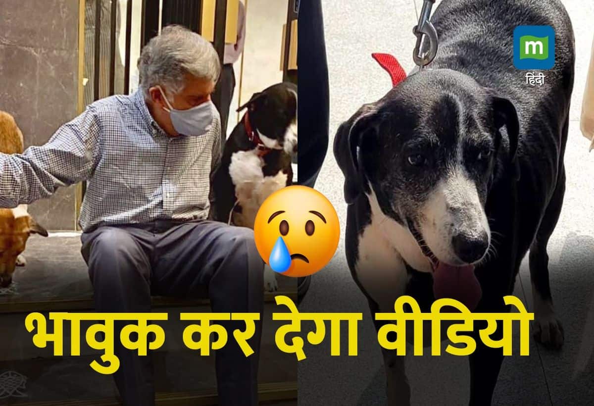 VIDEO: रतन टाटा को उनके डॉग Goa ने दी भावुक विदाई, निधन के बाद छोड़ दिया खाना-पीना!